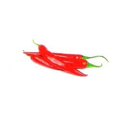 Fresh Red Chilli Manufacturer Supplier Wholesale Exporter Importer Buyer Trader Retailer in Amritsar Punjab India